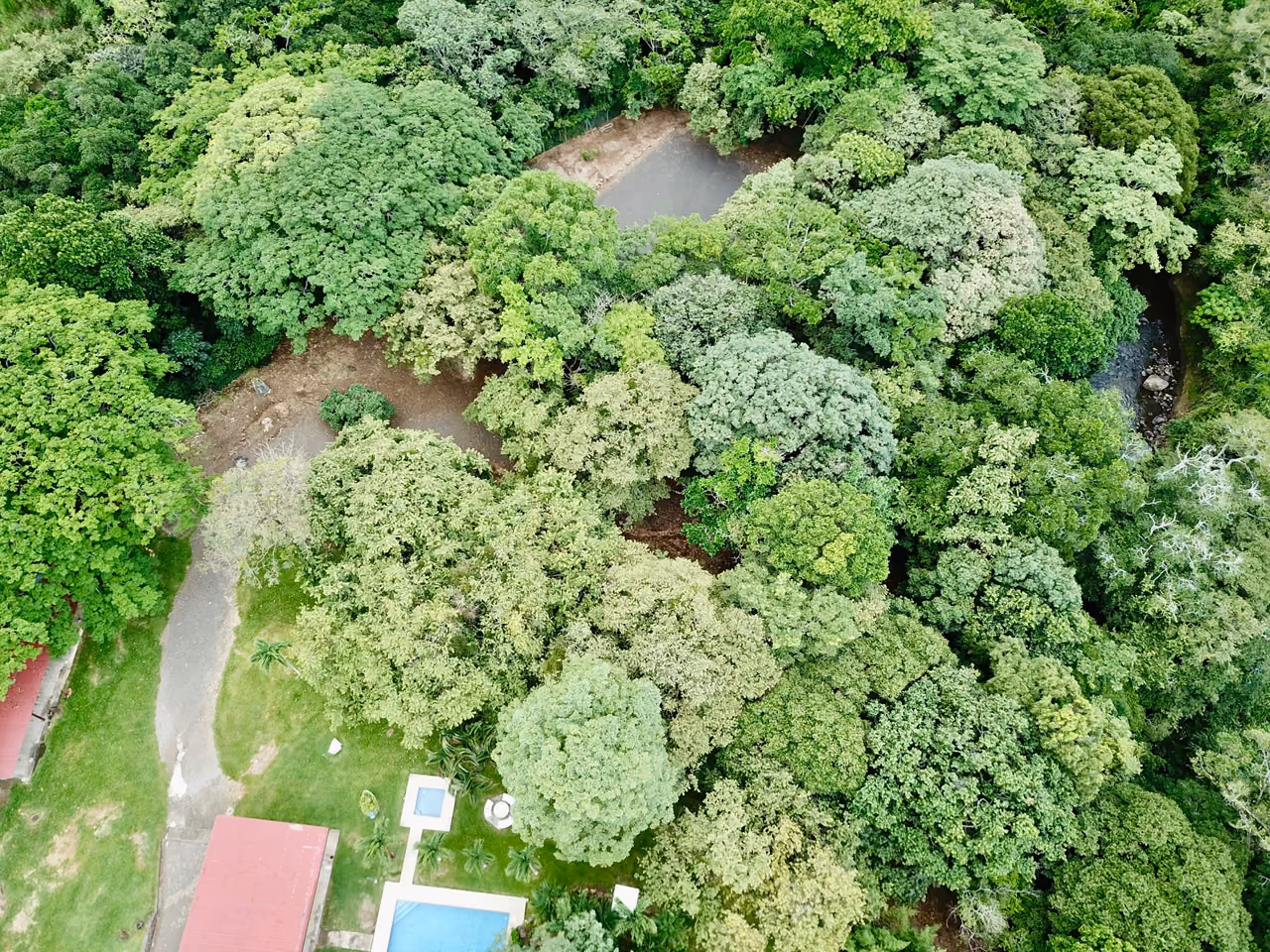 Hermosa propiedad en Ciruelas Alajuela — foto 11 de 19