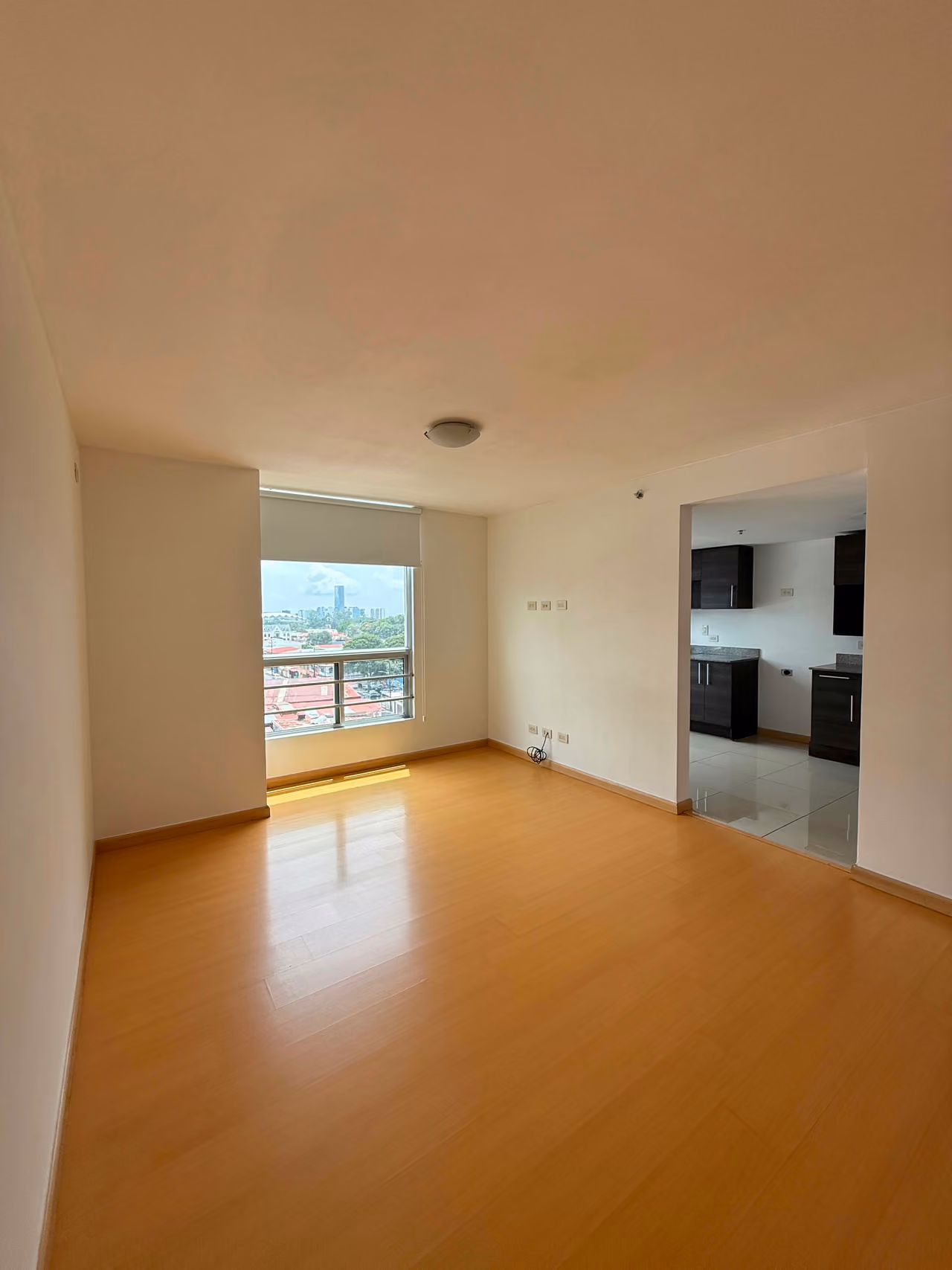 Amplio apartamento de 1 habitación en San José centro — foto 10 de 15